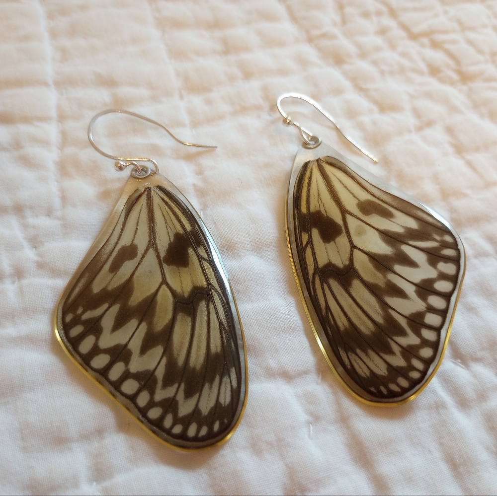 Butterfly wing earrings